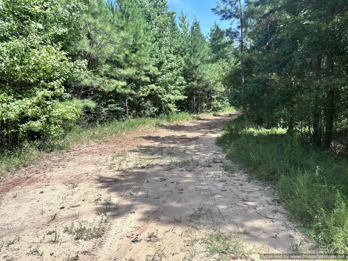 Decatur, Newton County, MS Recreational Property, Timberland Property, Hunting Property for sale