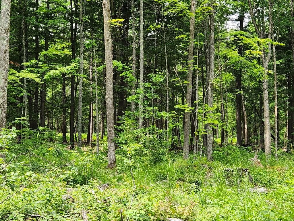 Merrill, Lincoln County, WI Recreational Property, Hunting Property for