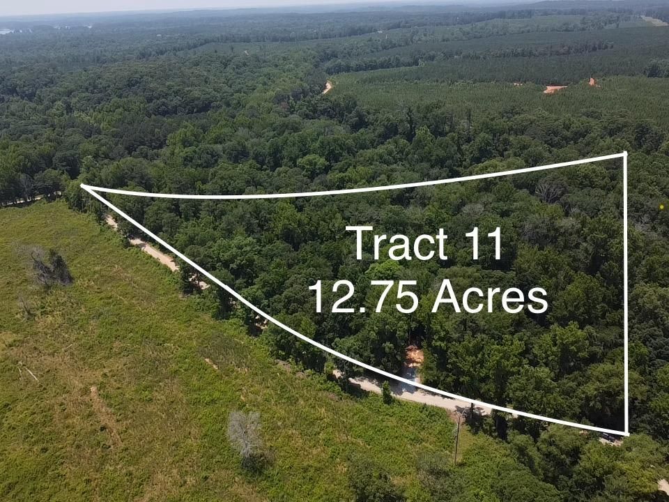 Monticello, Jasper County, GA Recreational Property for sale Property