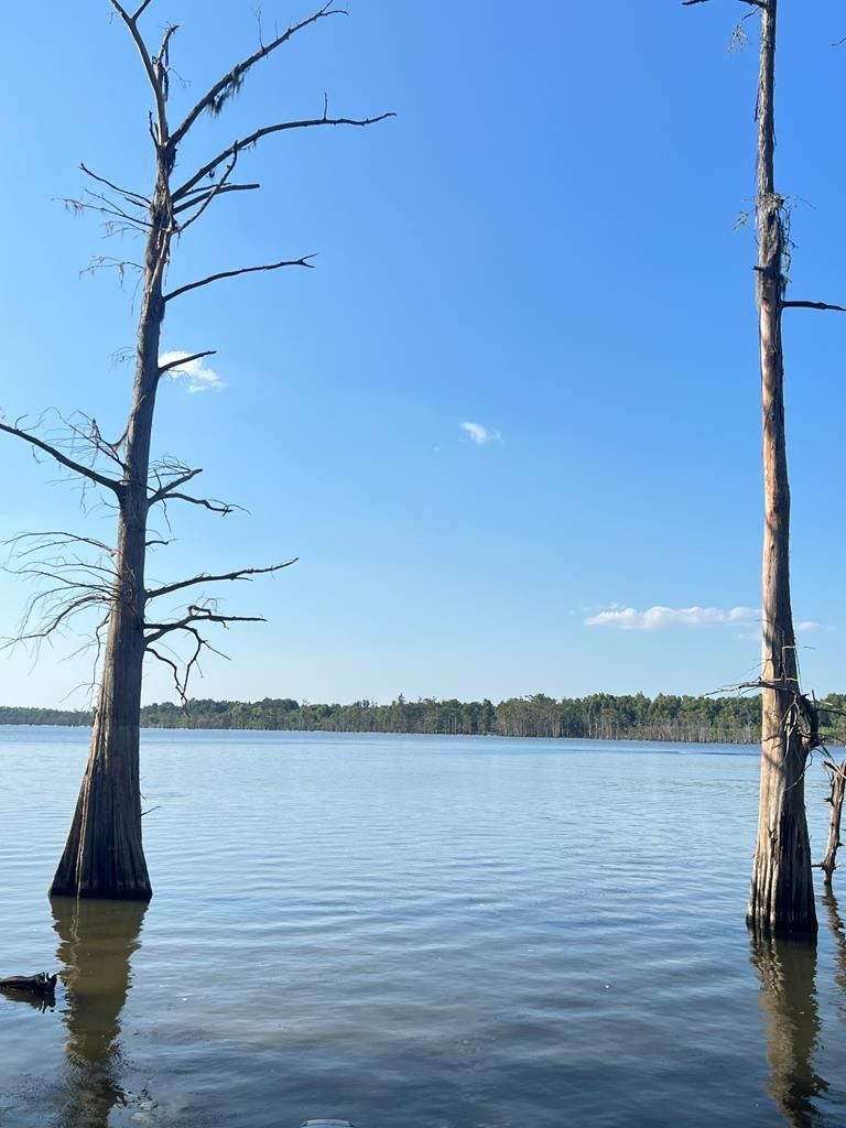 Woodville, Wilkinson County, MS Undeveloped Land, Homesites for sale