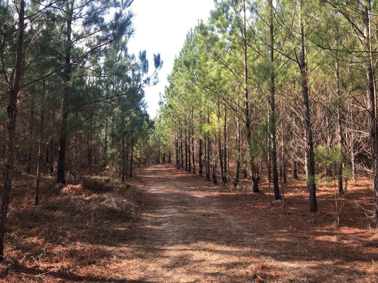 Milledgeville, Baldwin County, GA Recreational Property, Timberland