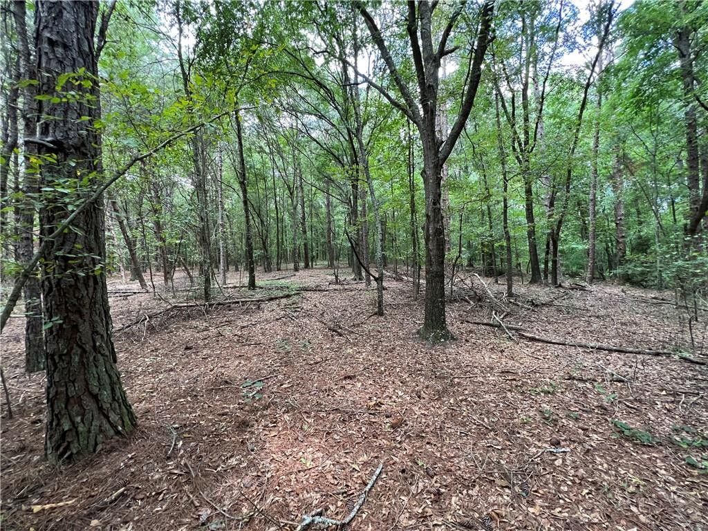 00 Liberty Highway, Pendleton, SC 29670 MLS 20265552 LandWatch