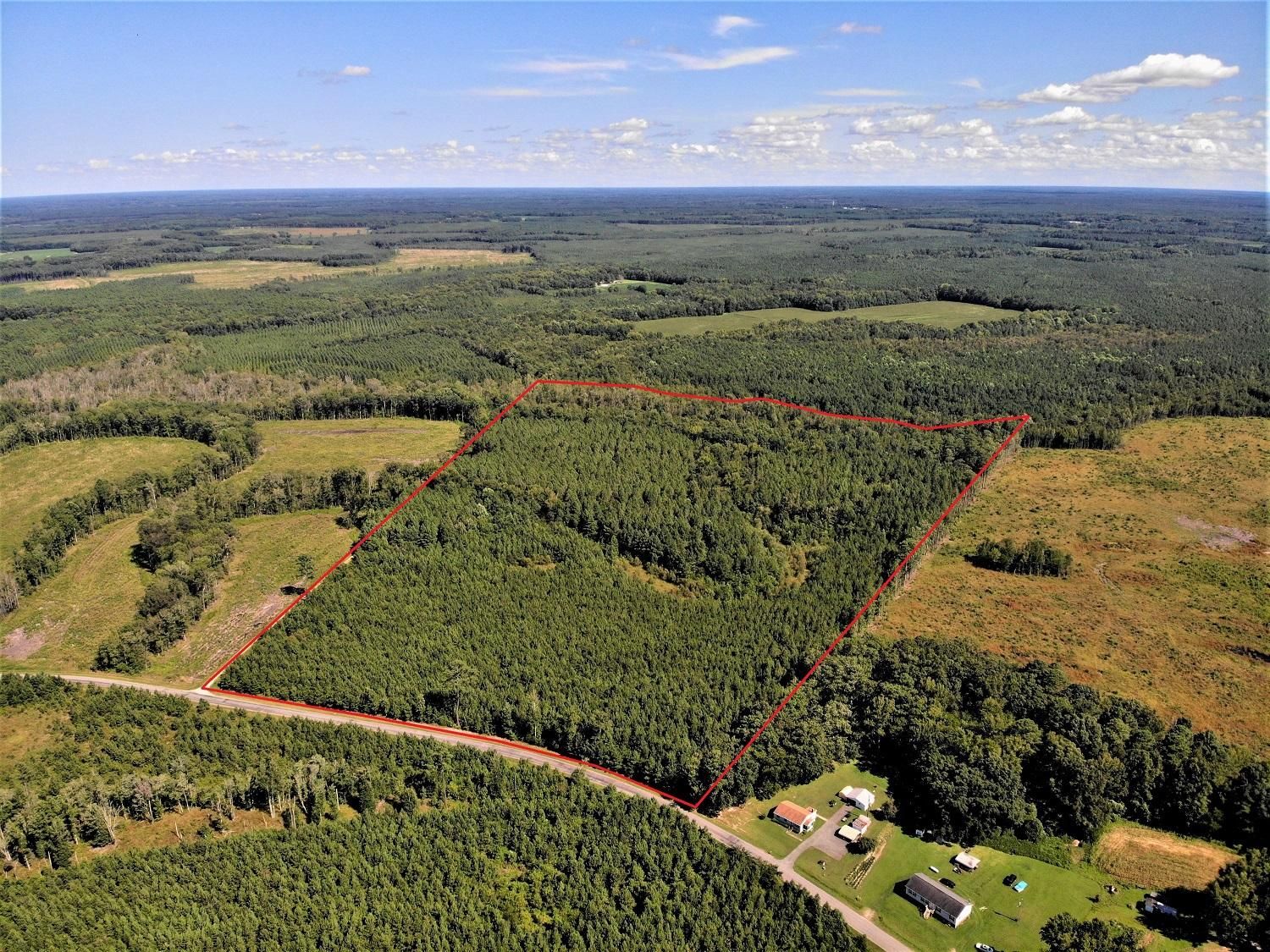 Stony Creek, Sussex County, VA Recreational Property, Undeveloped Land