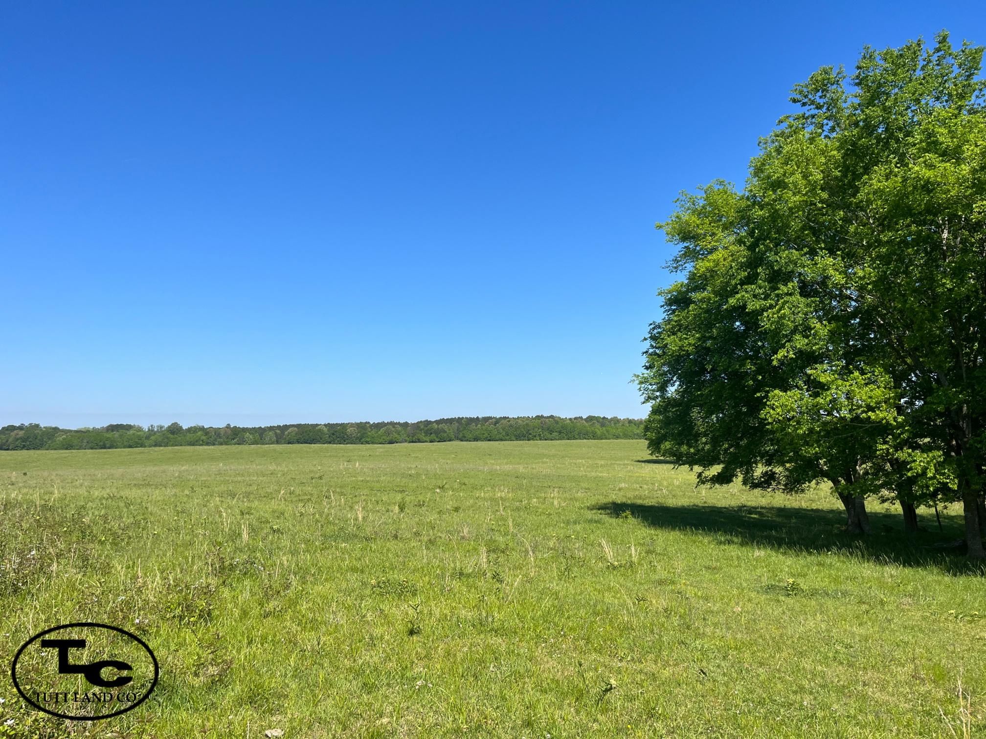 456 acres in Boligee, AL, 35443 MLS 456 +/ Acres Greene County, AL The Oaks Pastu