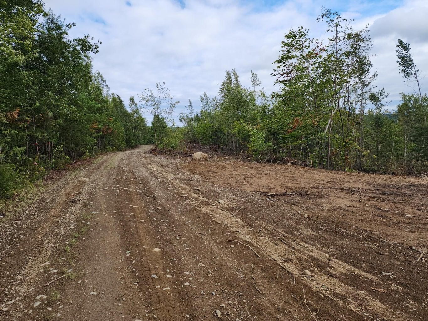 Springfield, Penobscot County, ME Undeveloped Land for sale Property ID