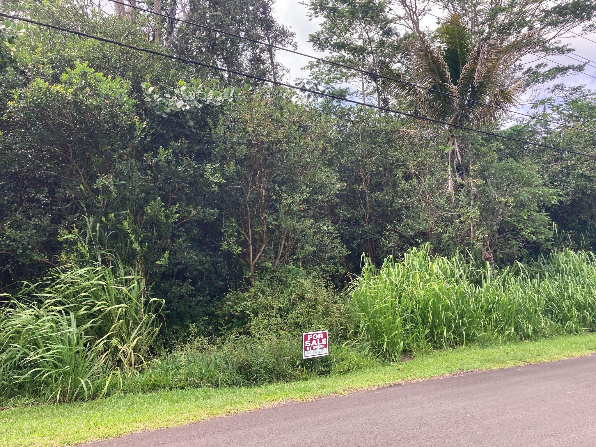 Hawaiian Beaches, Hawaii County, HI Recreational Property, Undeveloped