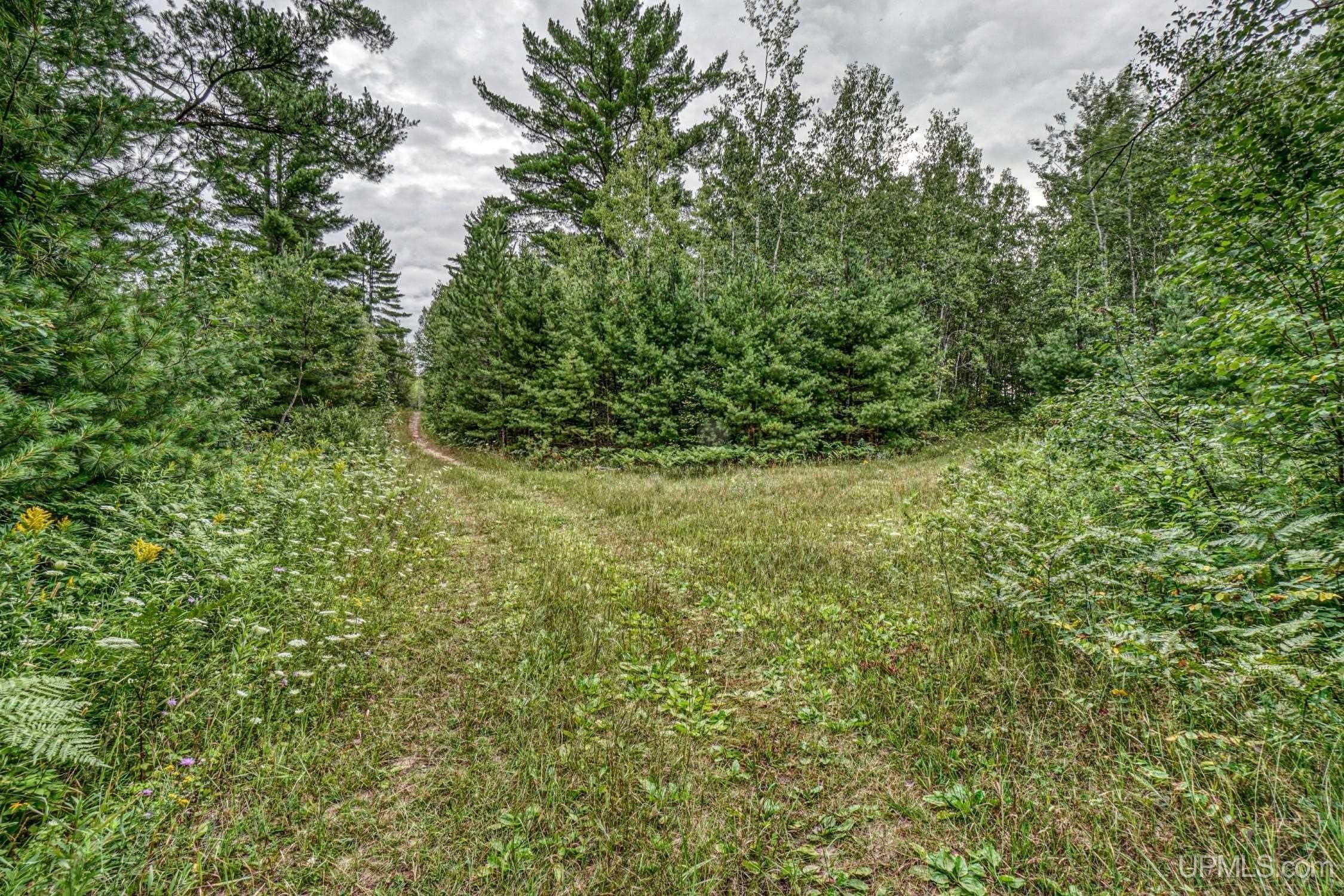 Perronville, Menominee County, MI Undeveloped Land for sale Property ID