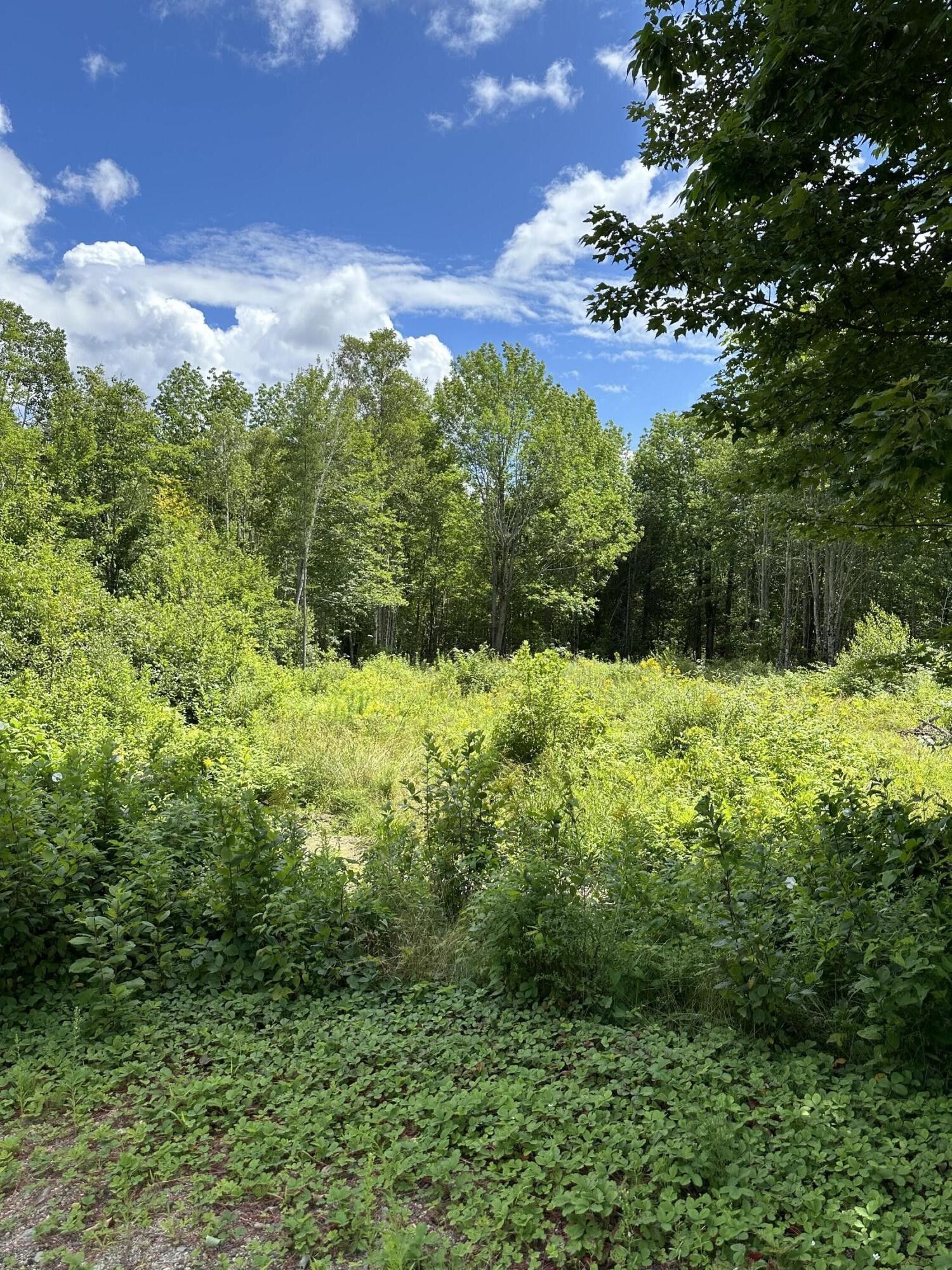Centerville, Washington County, ME Farms and Ranches, Lakefront