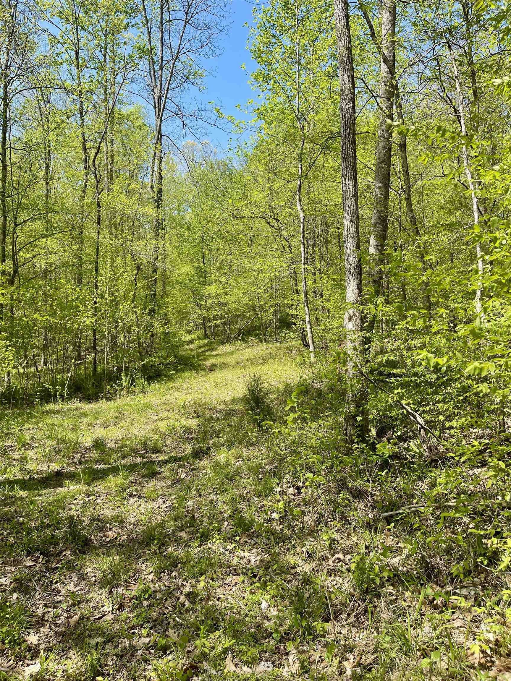 Savannah, Hardin County, TN Undeveloped Land for sale Property ID 417357759 LandWatch