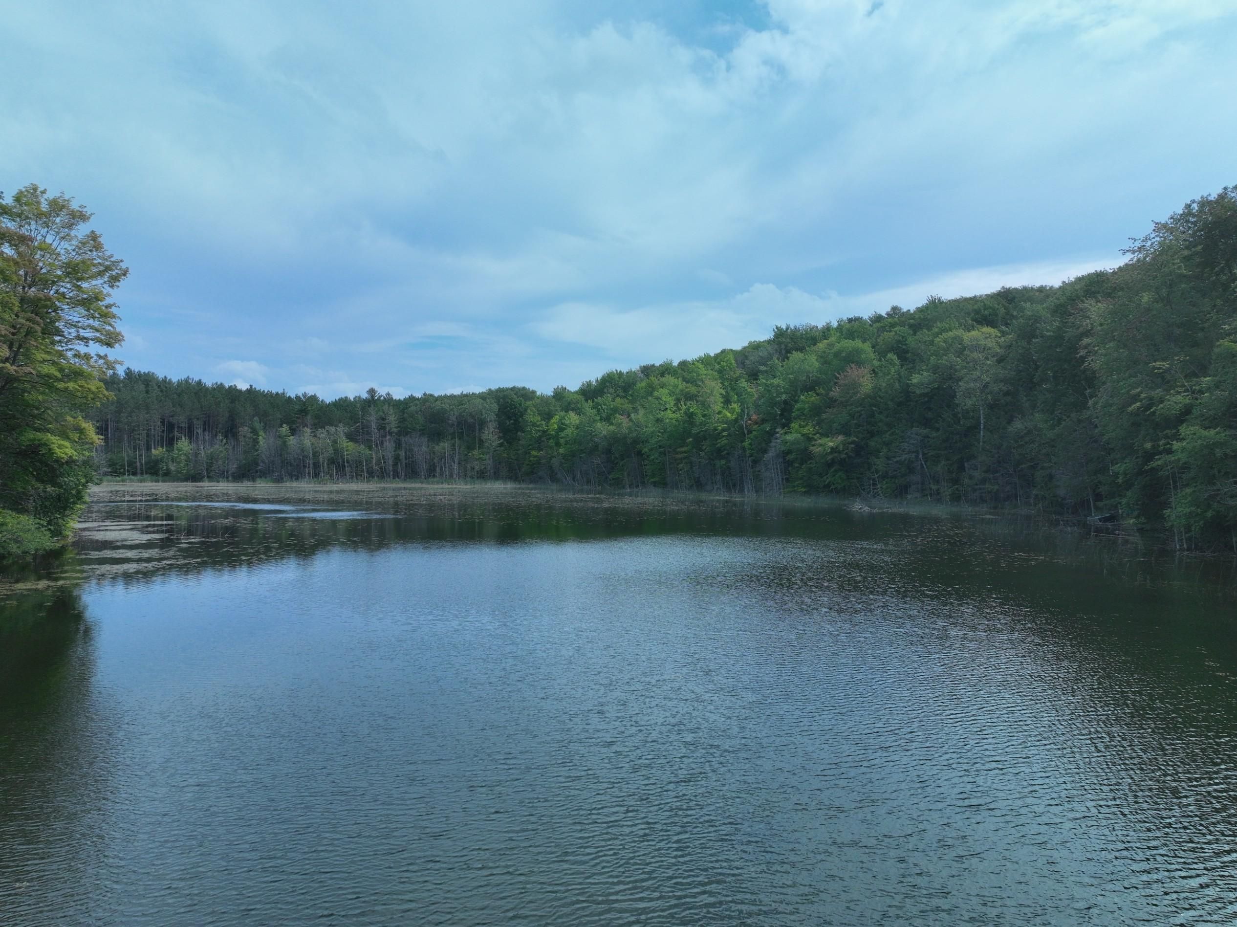 Mancelona, Antrim County, MI Recreational Property, Timberland Property