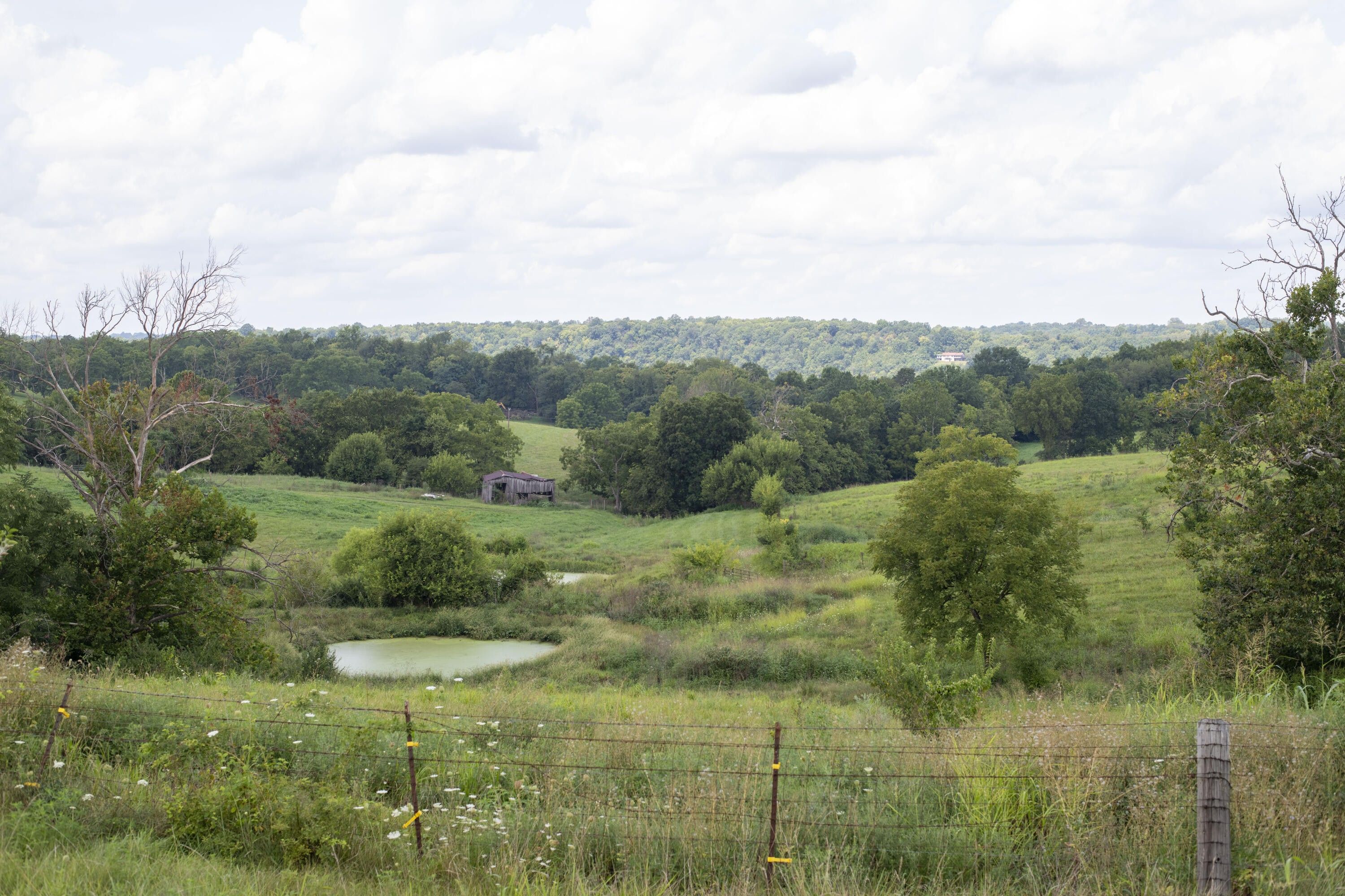 Wilmore, Jessamine County, KY Undeveloped Land for sale Property ID