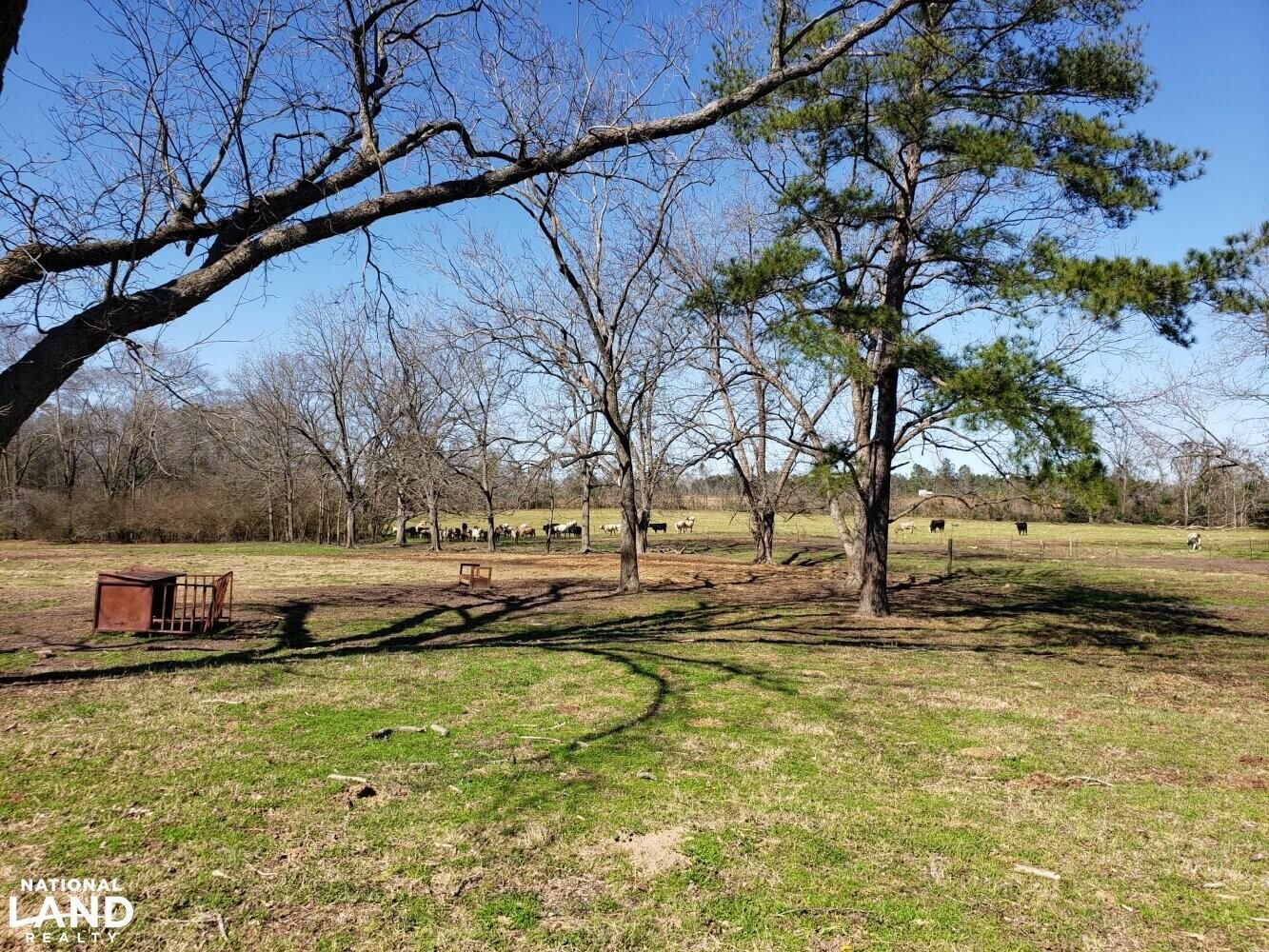 244 County Road 15, Clio, AL 36017 LandWatch