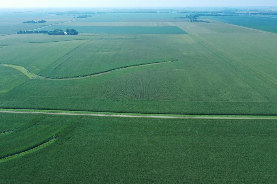 Taylorville, Christian County, IL Farms and Ranches for auction