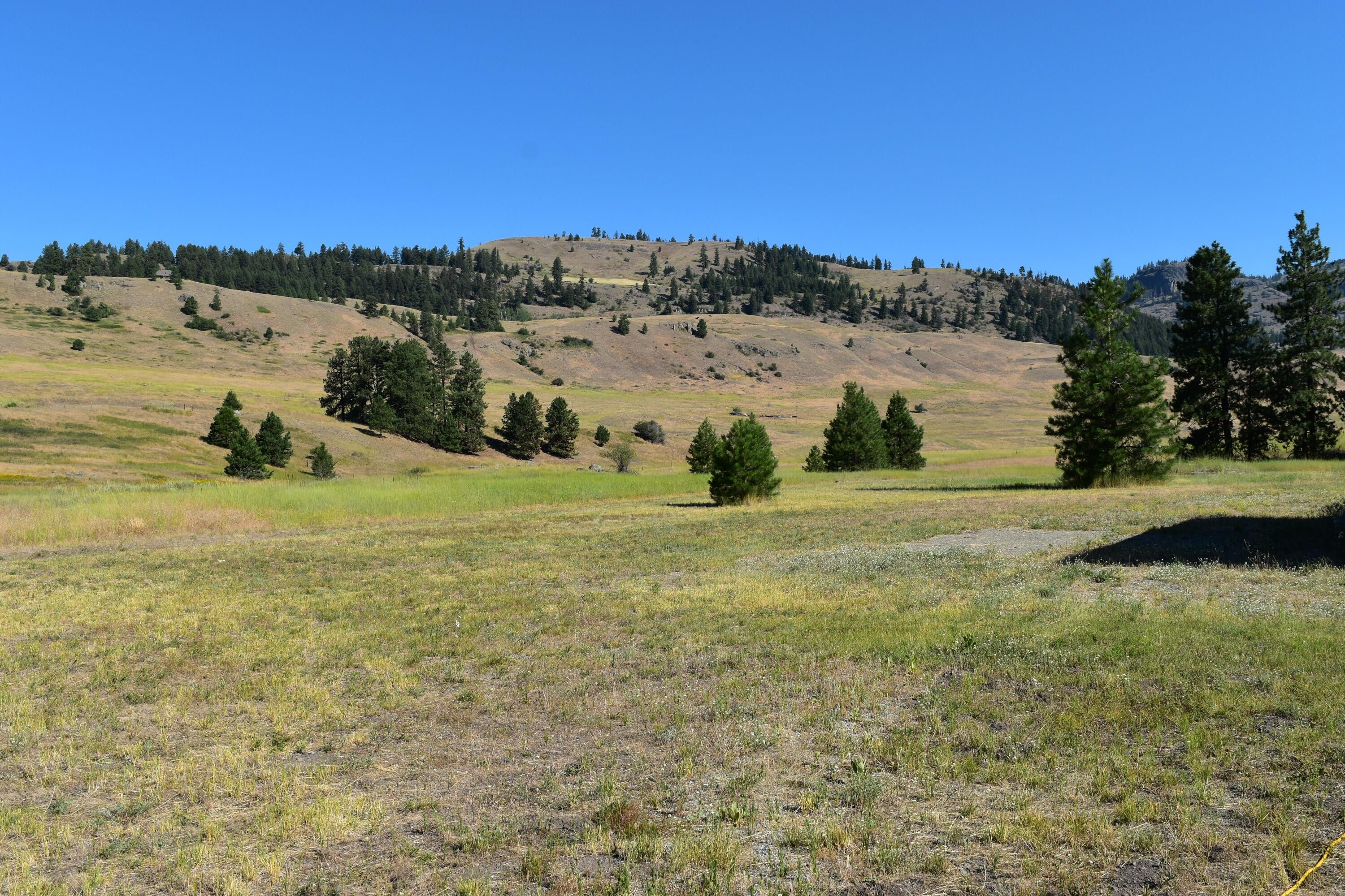Republic, Ferry County, WA Undeveloped Land for sale Property ID