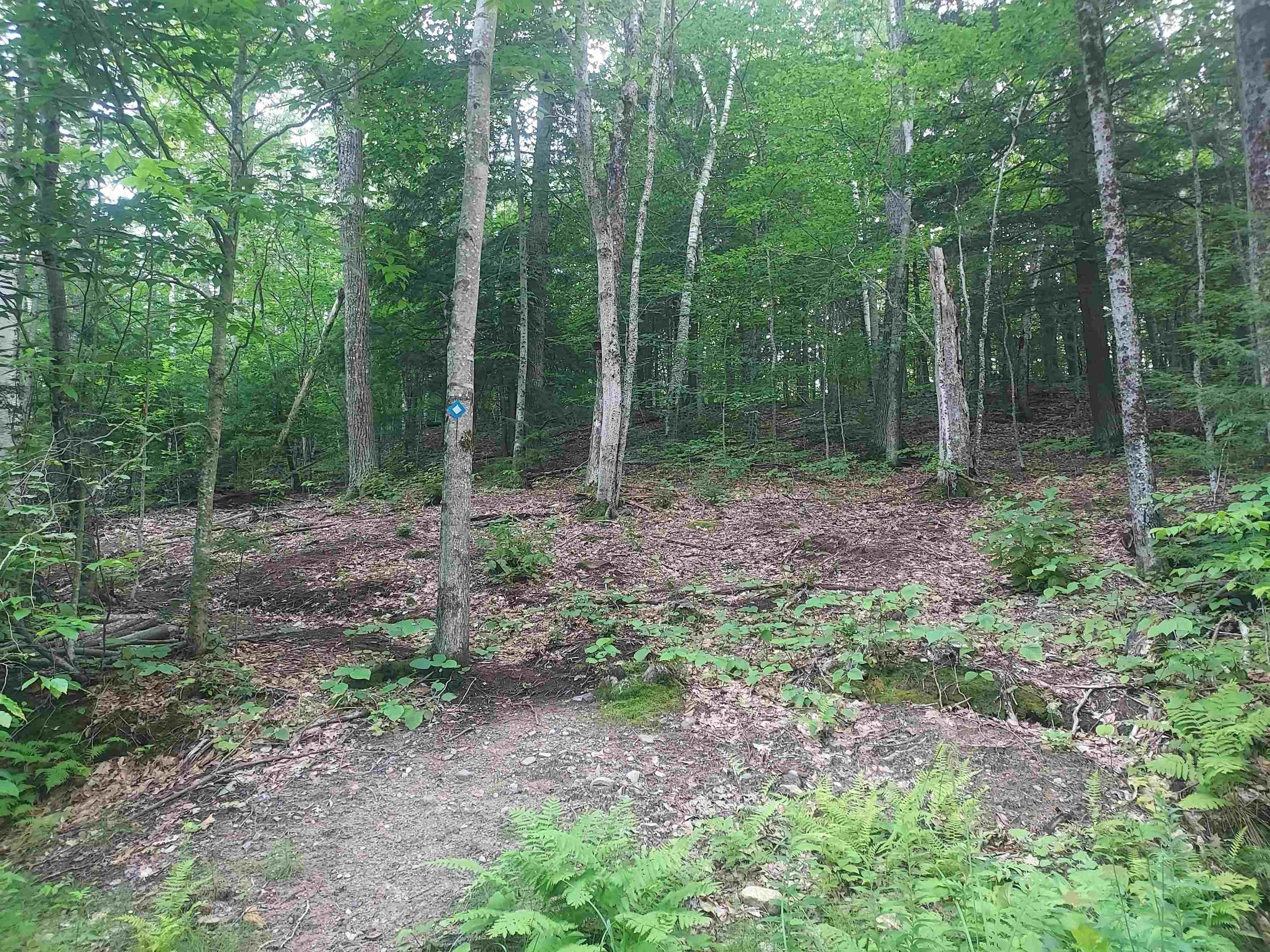 Campton, Grafton County, NH Undeveloped Land, Homesites for sale