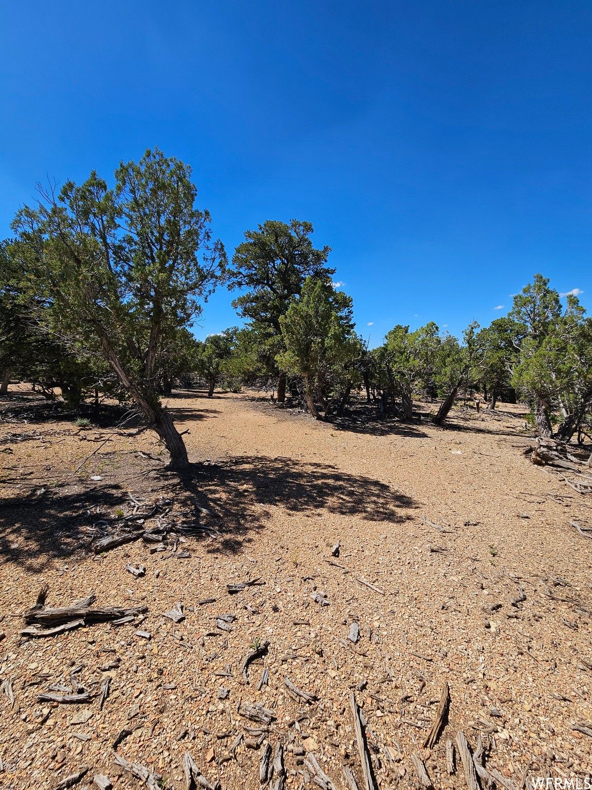 Fruitland, Duchesne County, UT Undeveloped Land for sale Property ID