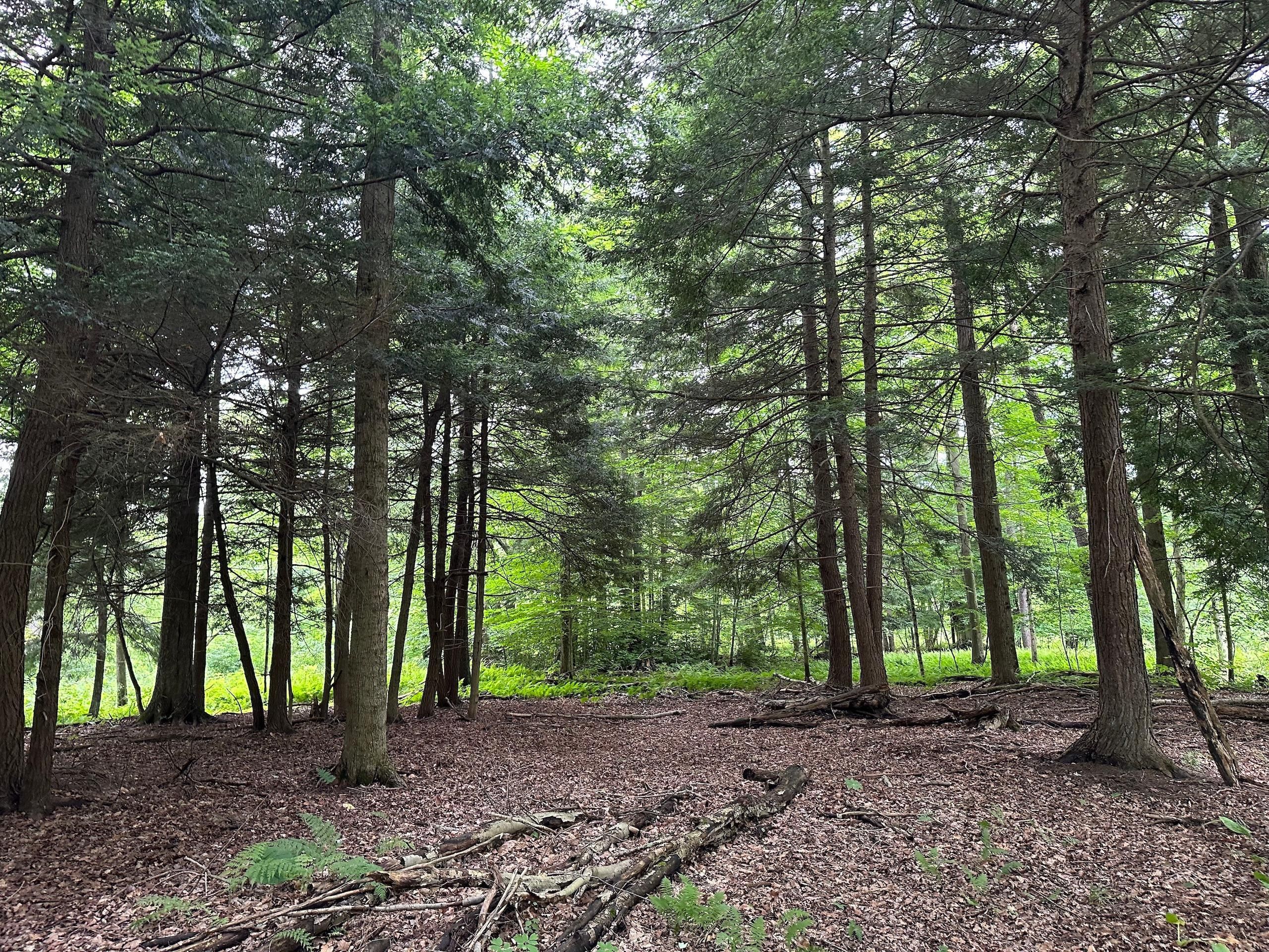 Westover, Clearfield County, PA Recreational Property, Hunting Property