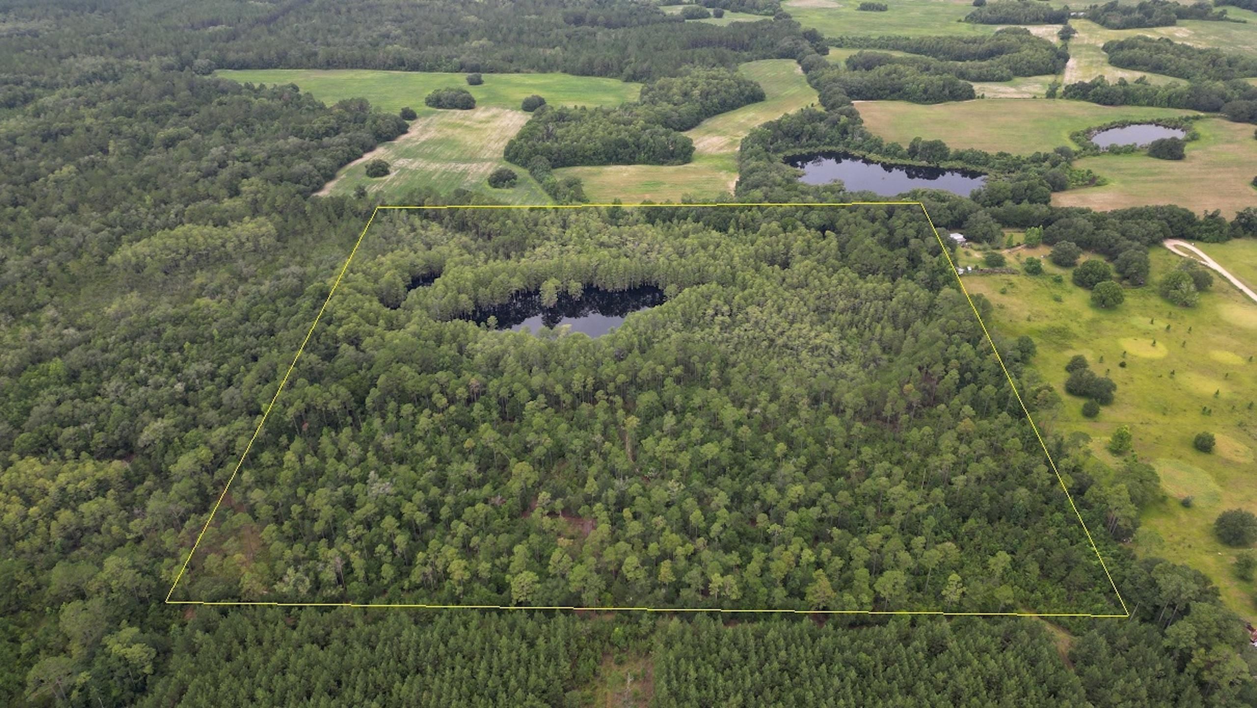 Vacant Land No Physical Address, LotWP001, Vernon, FL 32462 MLS