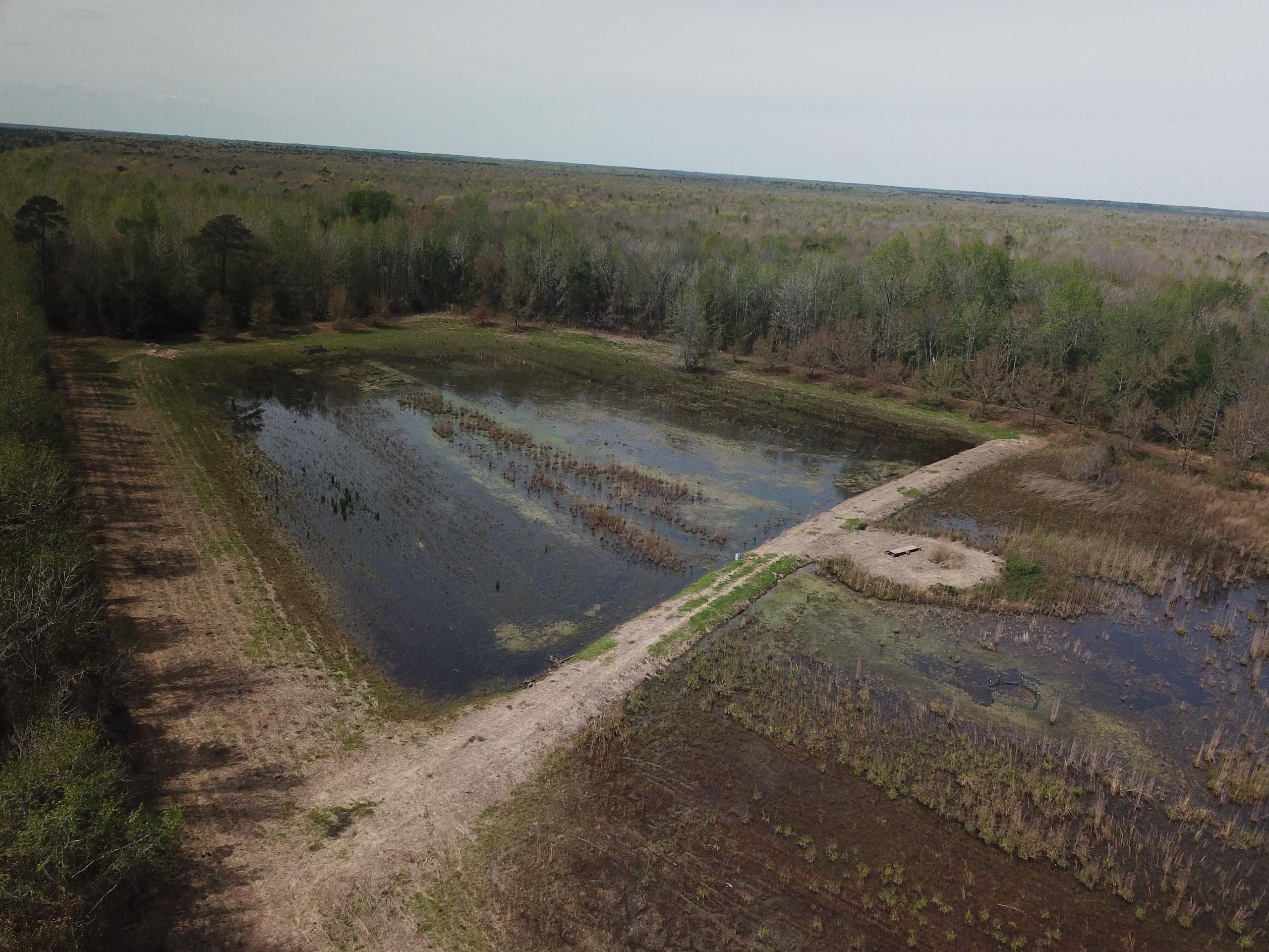 Bayboro, Pamlico County, NC Recreational Property, Timberland Property