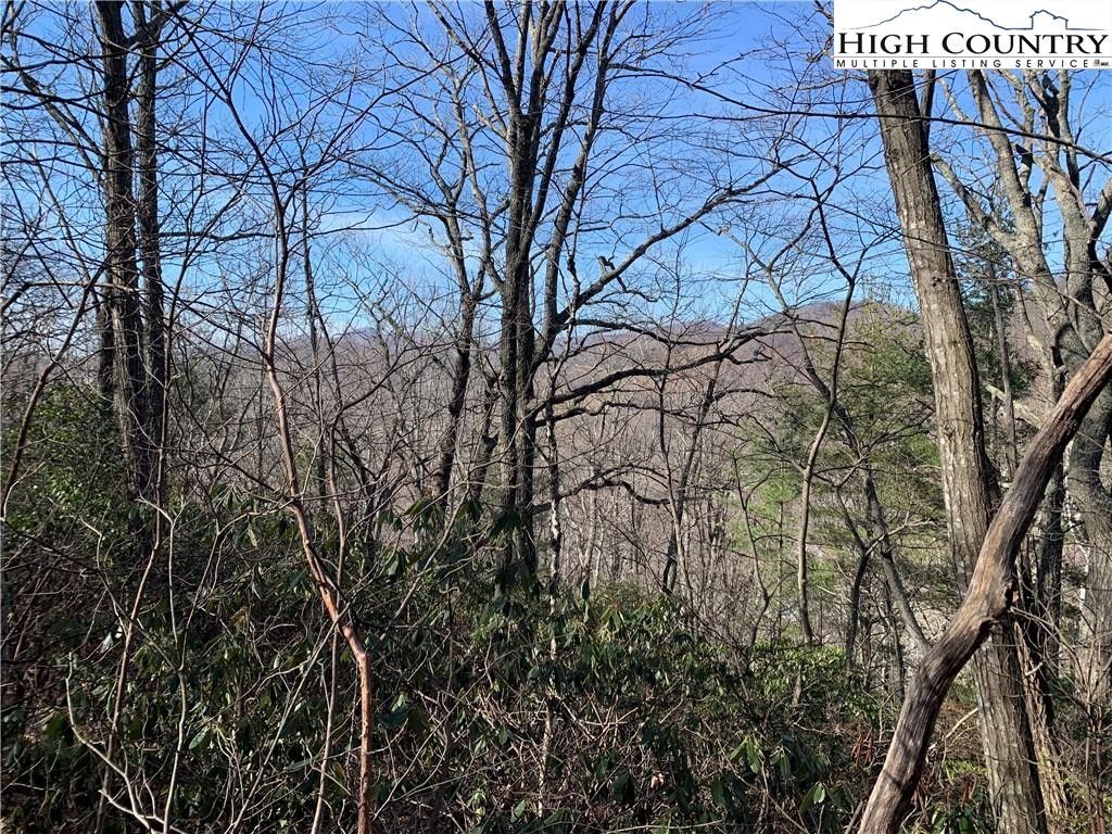 Fleetwood, Ashe County, NC Undeveloped Land, Homesites for sale