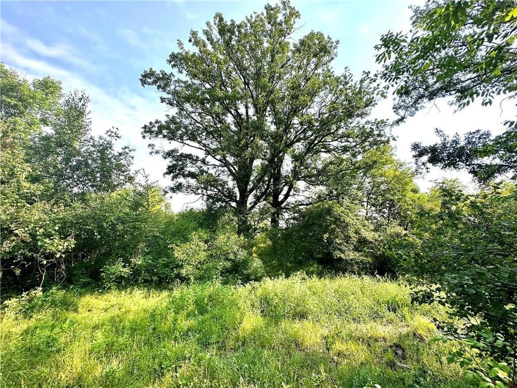 Frederic, Polk County, WI Undeveloped Land for sale Property ID