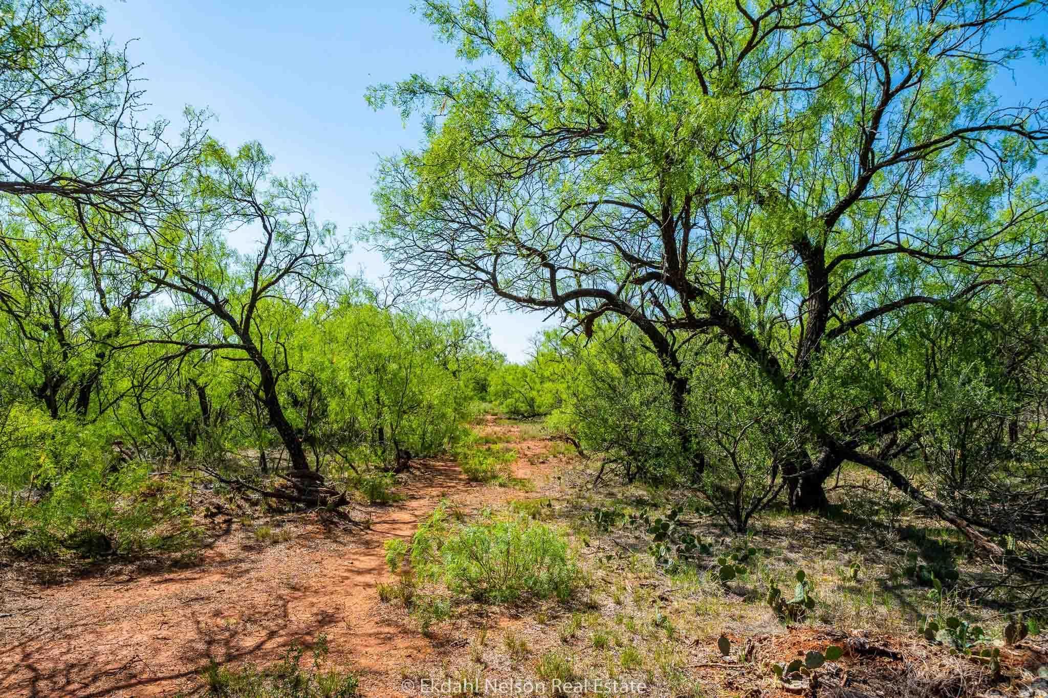 FM600, Haskell, TX 79521 LandWatch