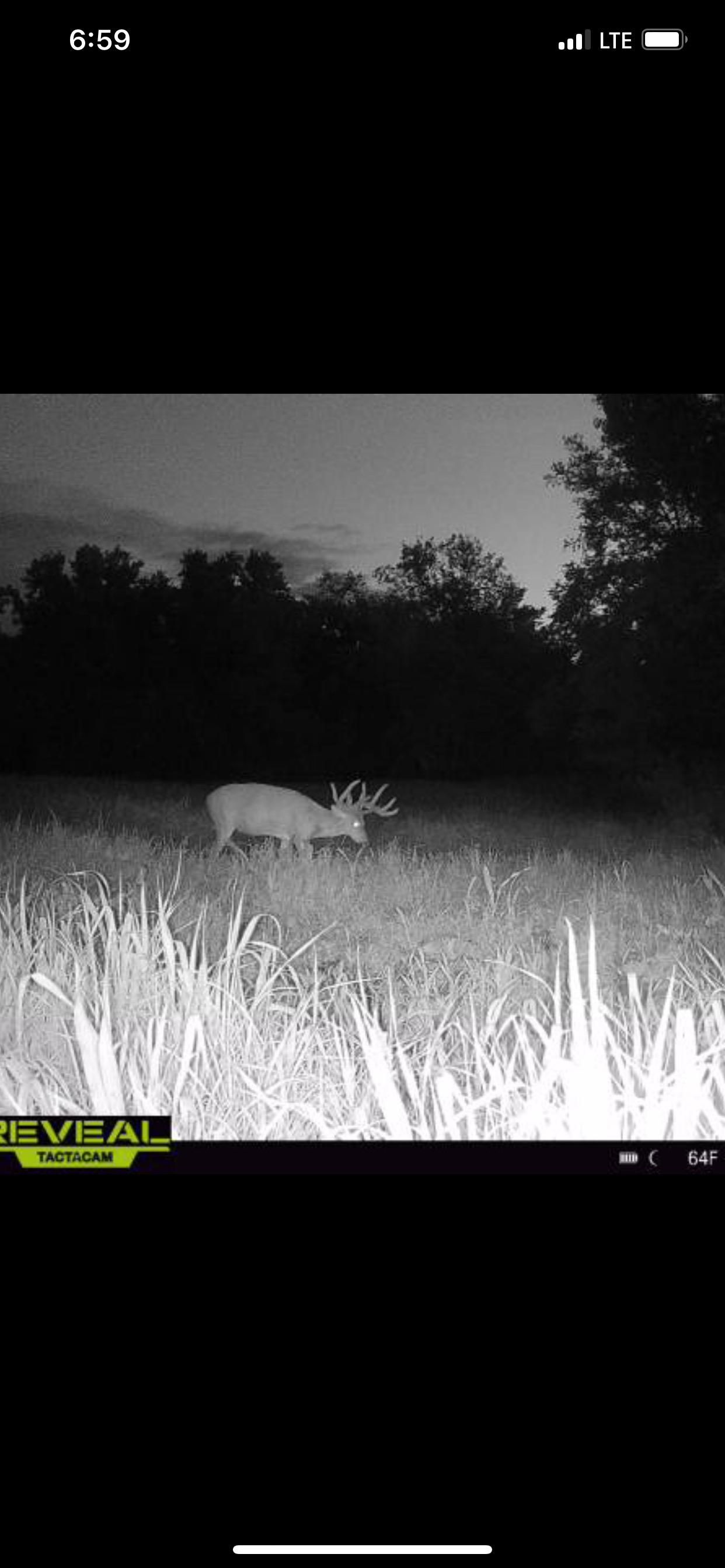 Unionville, Appanoose County, IA Farms and Ranches, Recreational Property, Hunting Property for