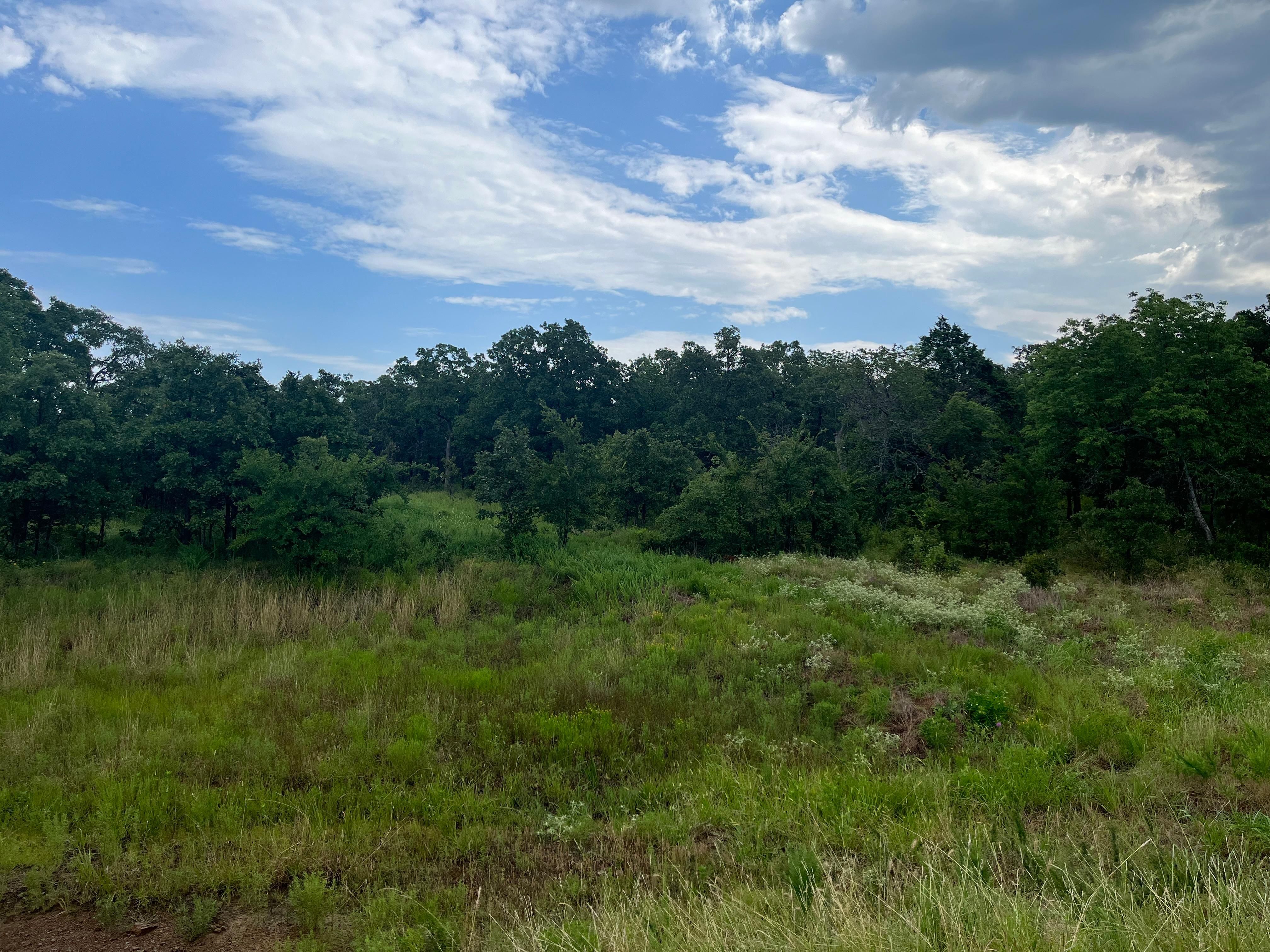 Hanna, McIntosh County, OK Recreational Property, Hunting Property for