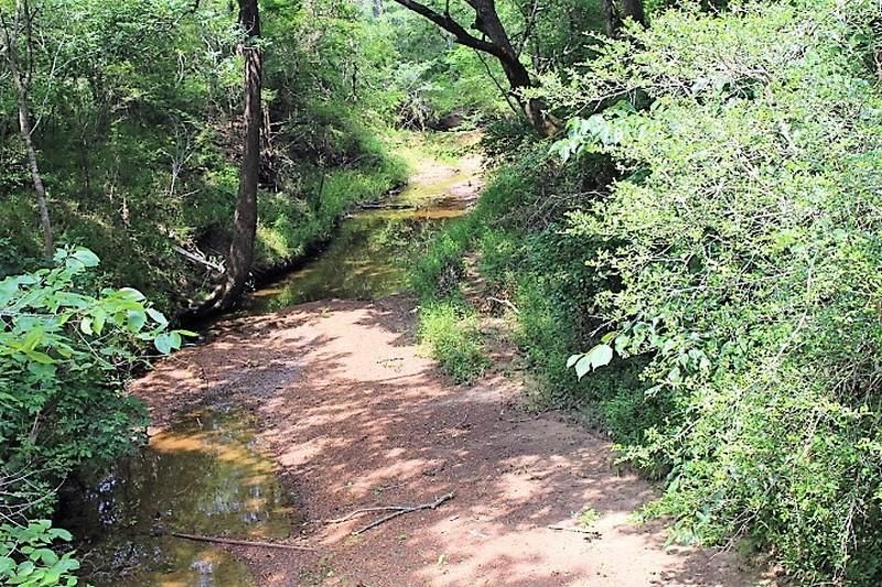 Leona, Leon County, TX Recreational Property, Undeveloped Land, Hunting