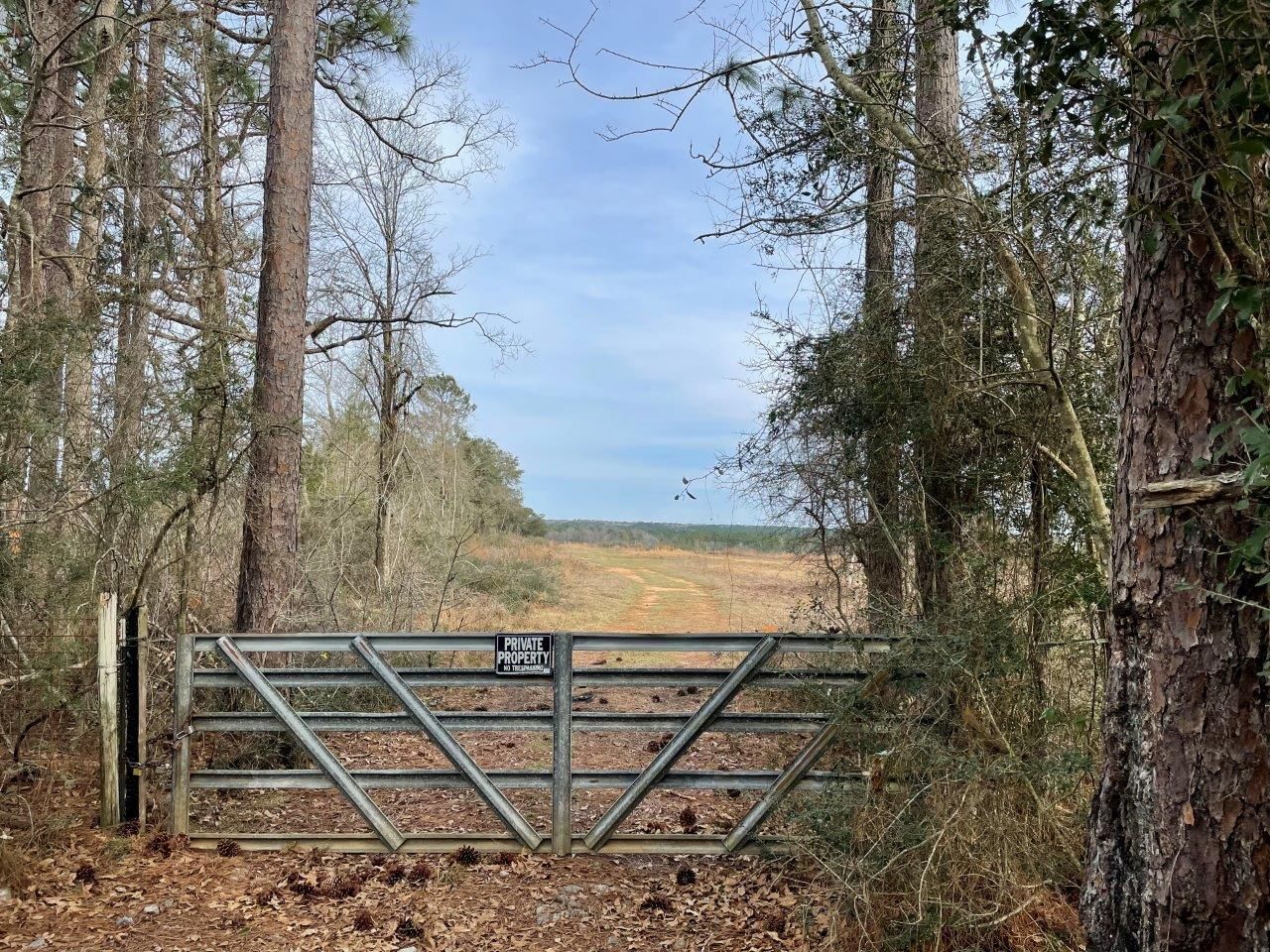 Wilmer, Mobile County, AL Hunting Property for sale Property ID