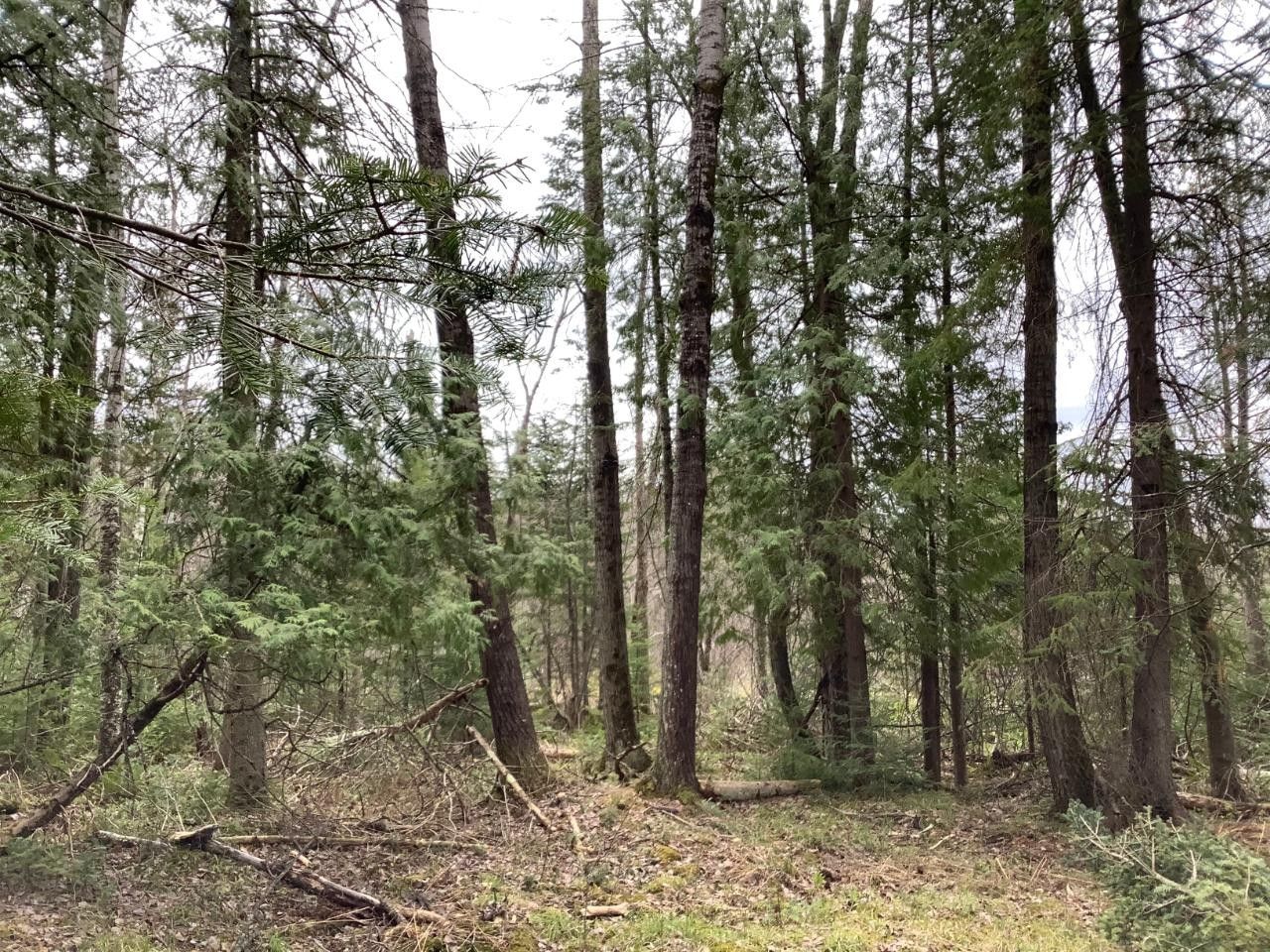 Rhinelander, Oneida County, WI Undeveloped Land, Lakefront Property