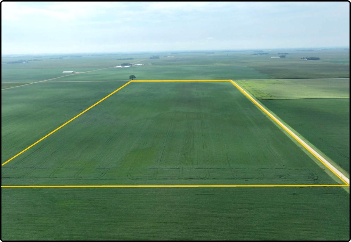 Garden City, Blue Earth County, MN Farms and Ranches for auction