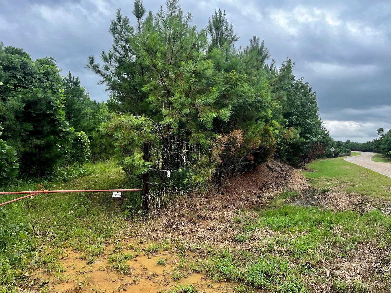 Baldwyn, Prentiss County, MS Recreational Property, Hunting Property