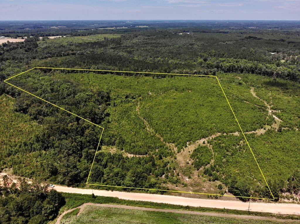 Coffee Springs, Geneva County, AL for sale Property ID 417367558