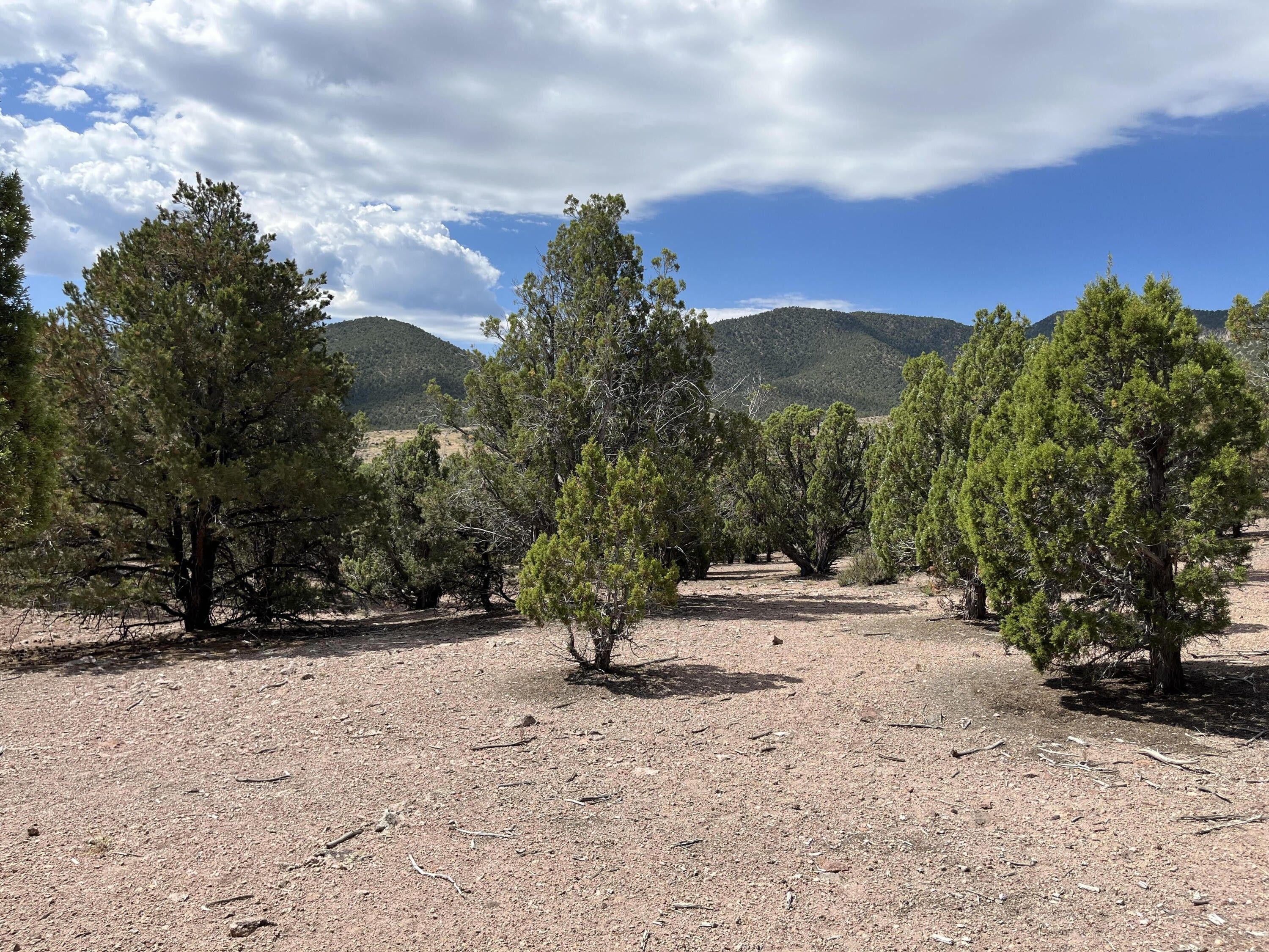 Cedar City, Iron County, UT Homesites for sale Property ID 417367720