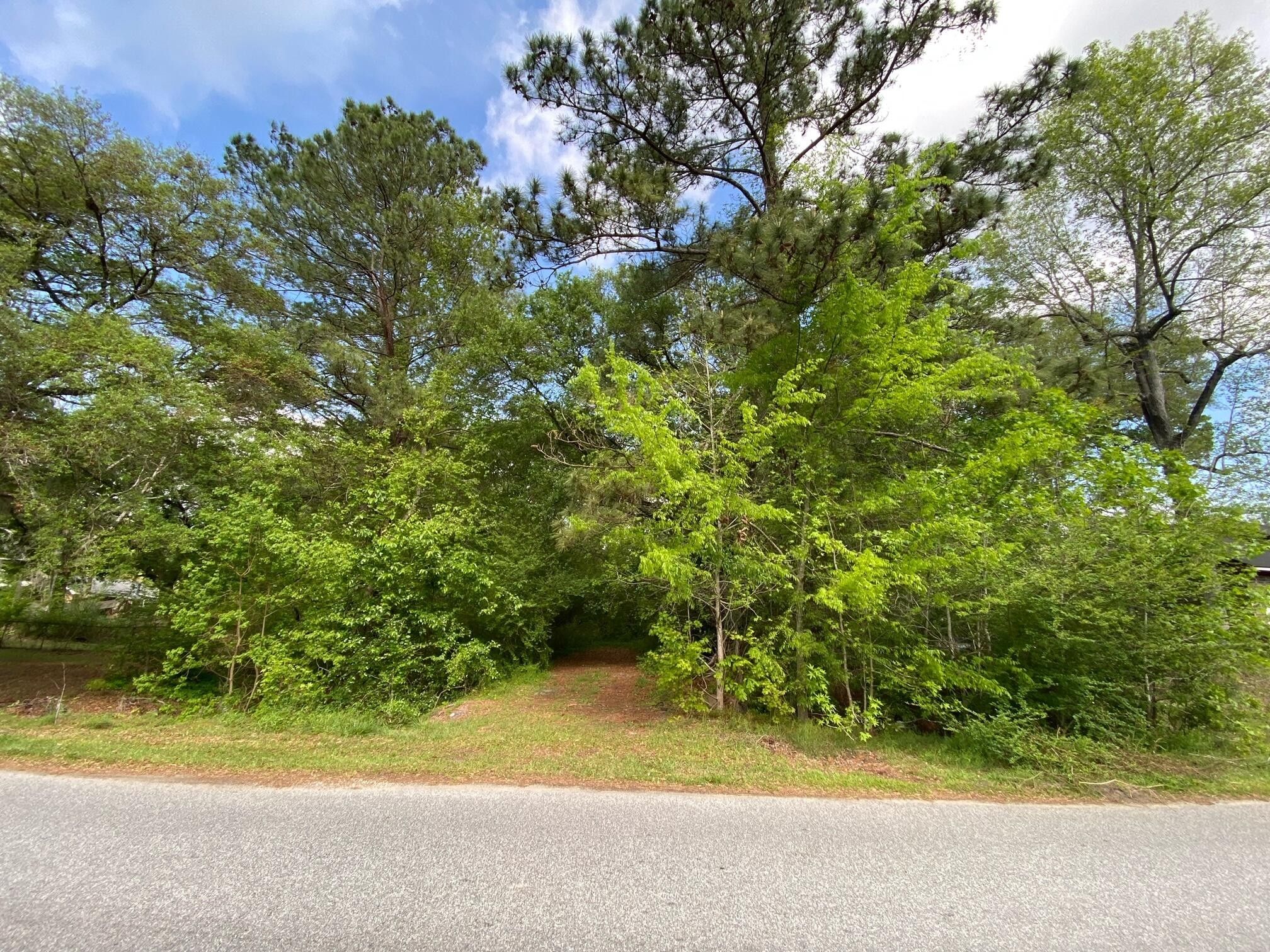 Summerville, Dorchester County, SC Undeveloped Land, Homesites for sale