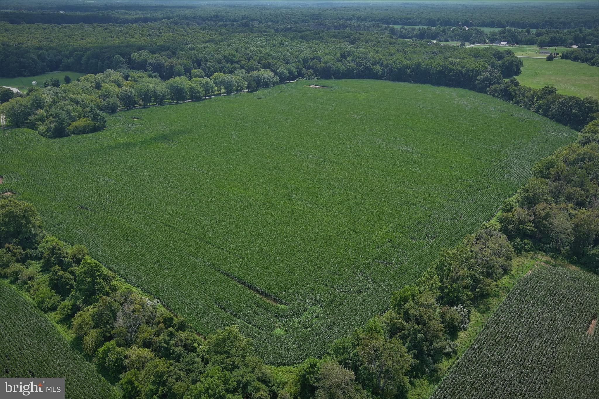 Woodstown, Salem County, NJ Undeveloped Land for sale Property ID