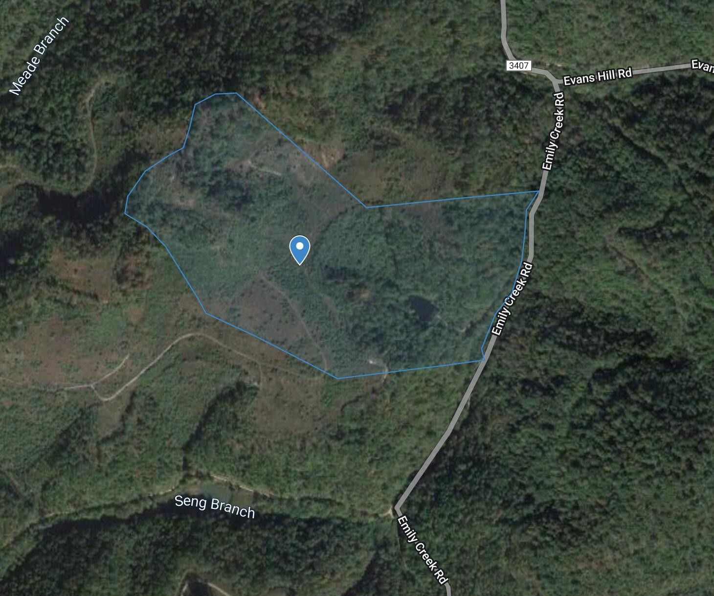 Lovely, Martin County, KY Undeveloped Land for sale Property ID