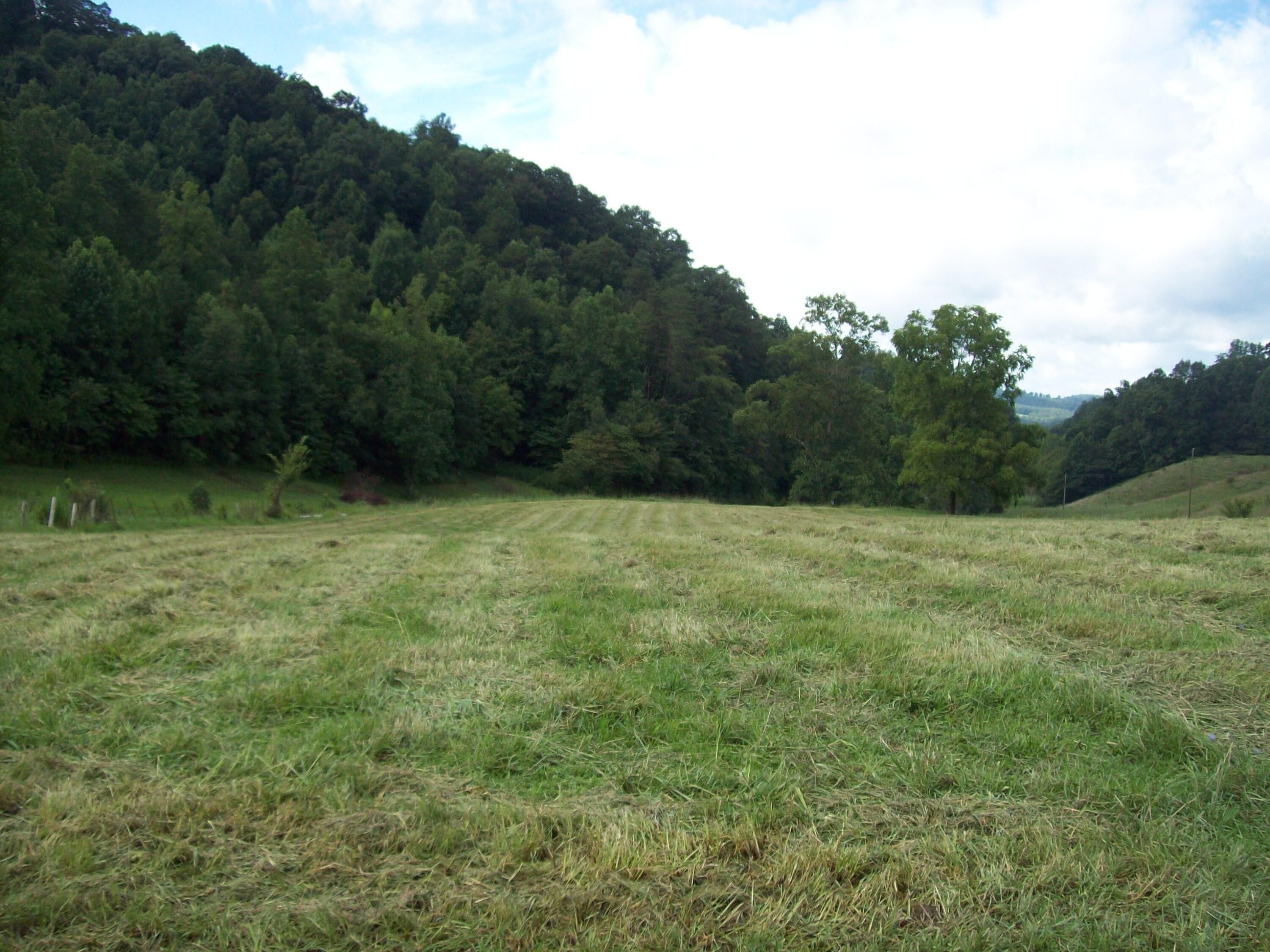 Sneedville, Hancock County, TN Farms and Ranches, Homesites for sale