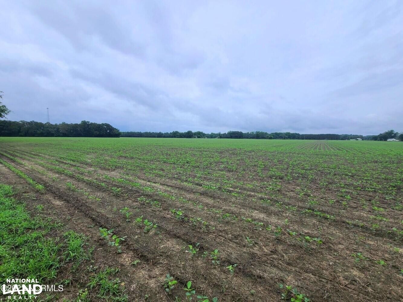 Fayetteville, Bladen County, NC Farms and Ranches, Commercial Property