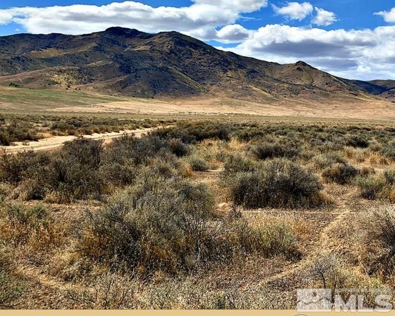 Unionville, Pershing County, NV Undeveloped Land for sale Property ID