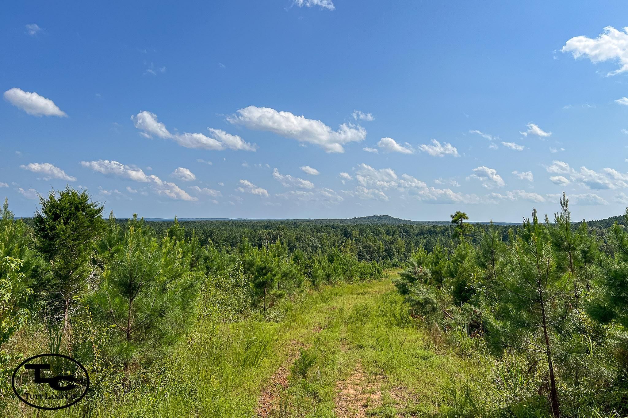 Bethel Springs, Chester County, TN Recreational Property, Timberland