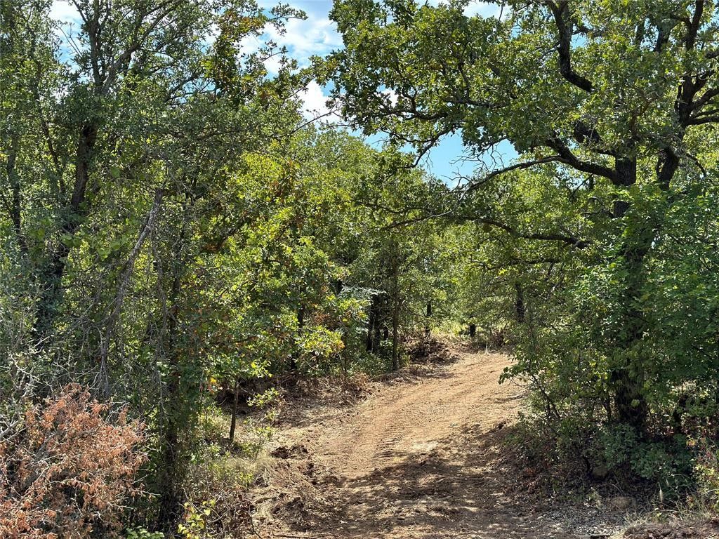 Graham, Young County, TX Farms and Ranches, Lakefront Property