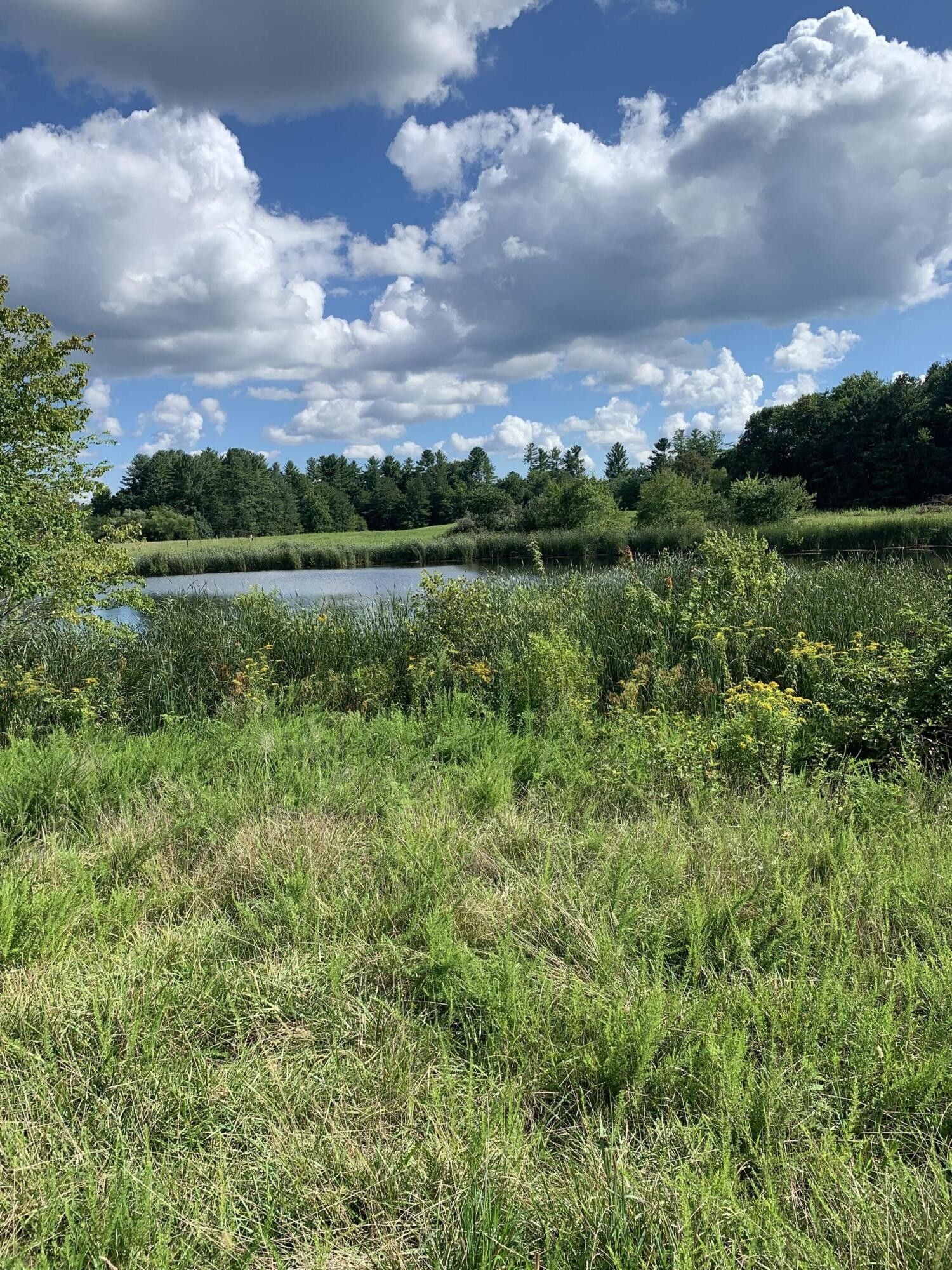 Somerset, Pulaski County, KY Farms and Ranches for sale Property ID