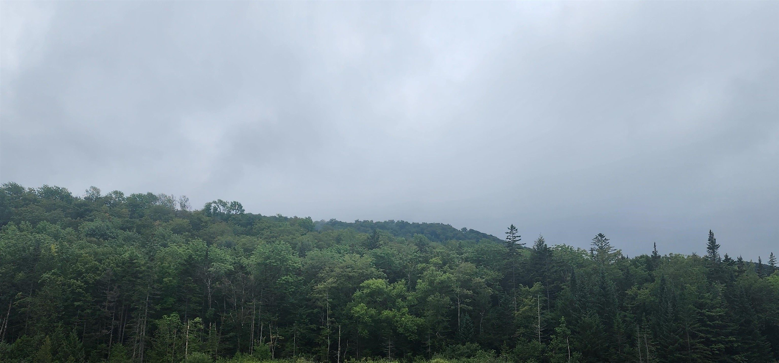 E Riddel Pond Road, Orange, VT 05641 MLS 4965698 LandWatch