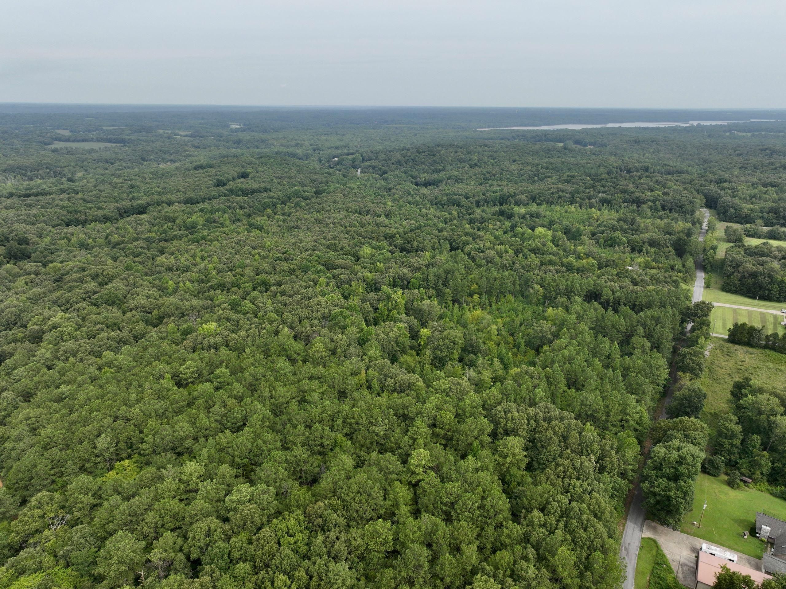 Dexter, Calloway County, KY Recreational Property, Hunting Property for