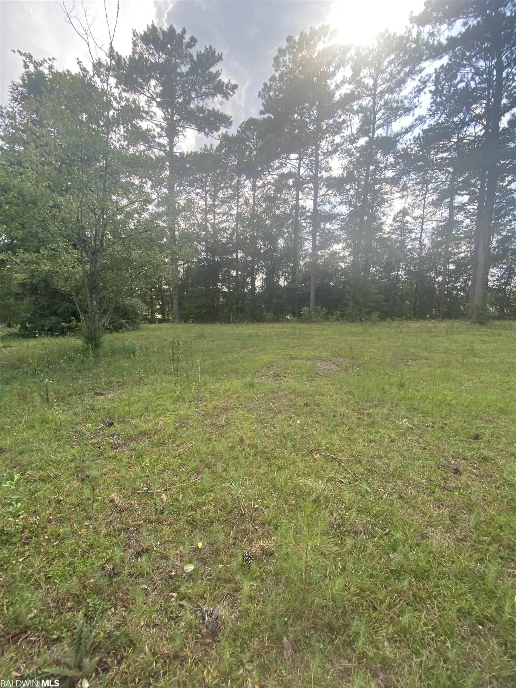Evergreen, Conecuh County, AL Undeveloped Land, Homesites for sale