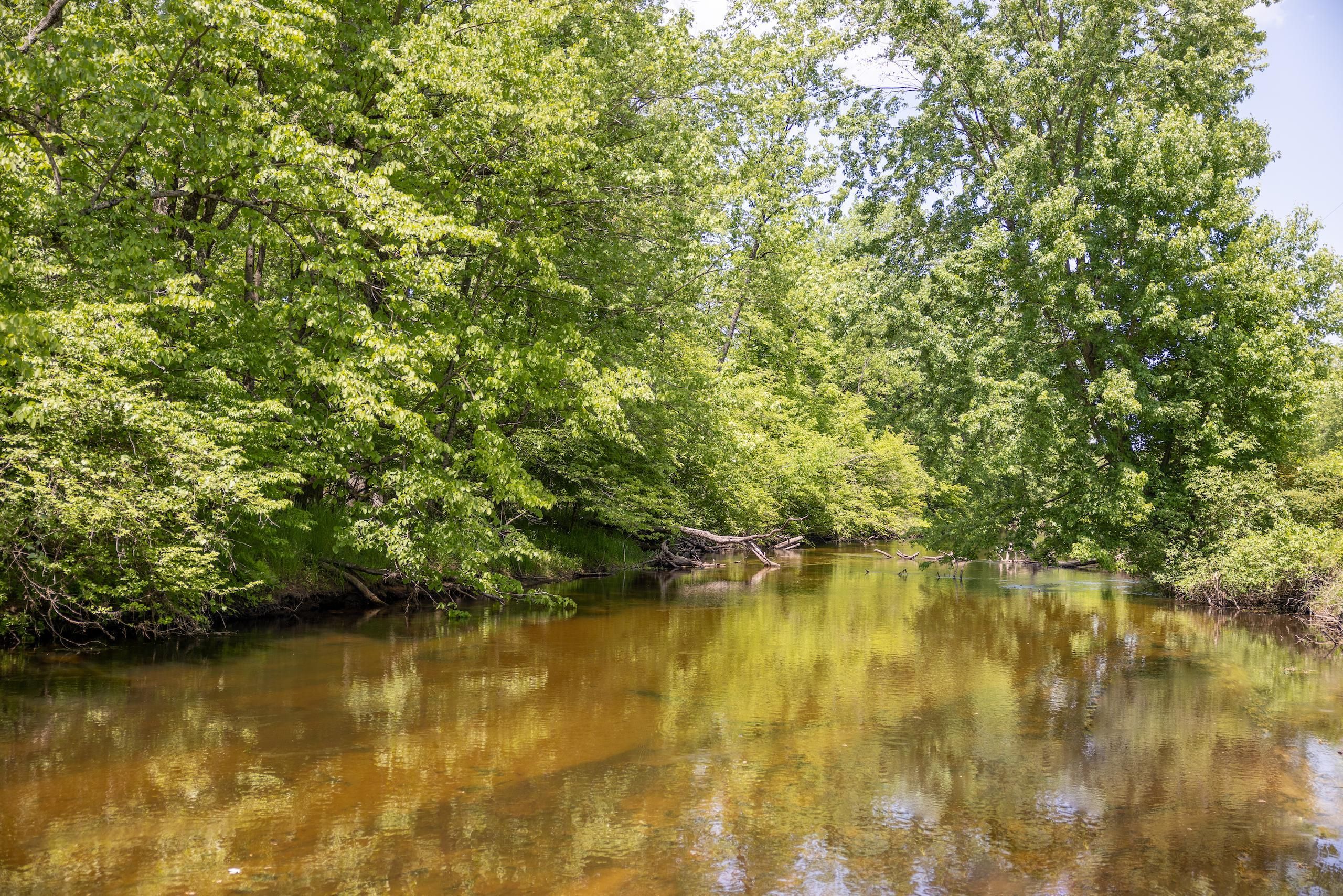 Walkerville, Oceana County, MI Recreational Property, Hunting Property