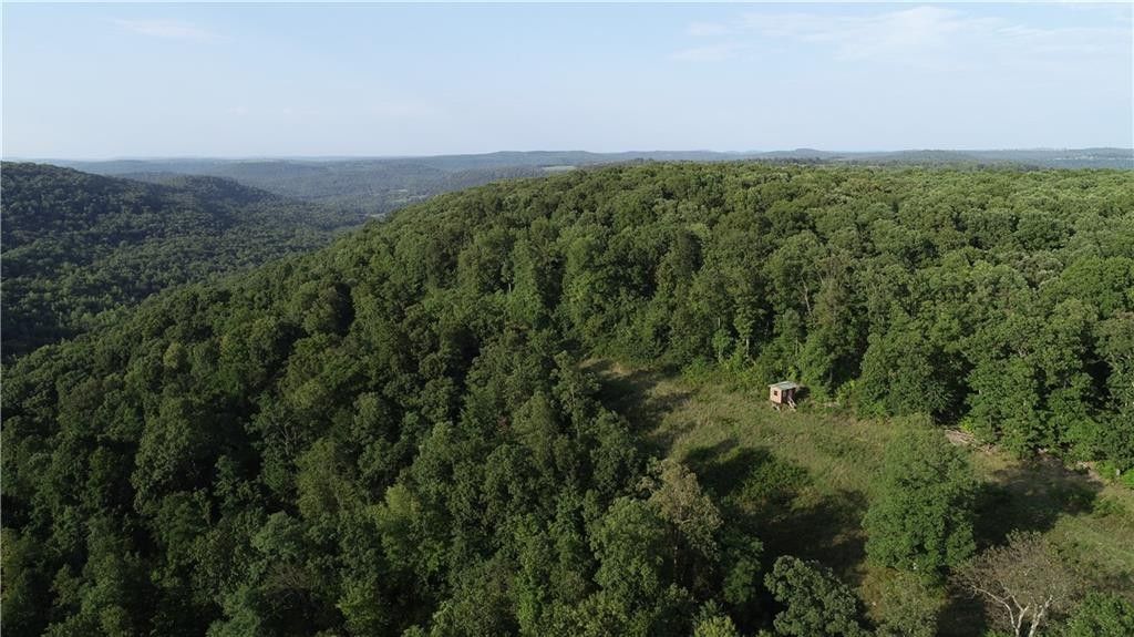 Kingston, Madison County, AR Undeveloped Land for sale Property ID