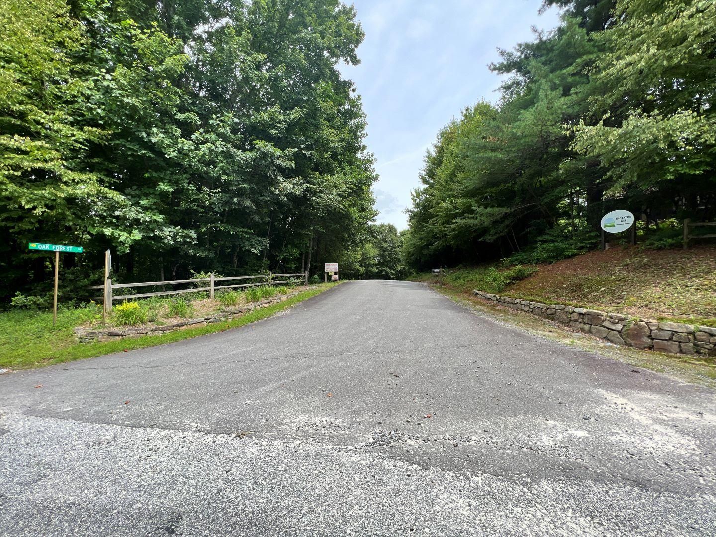Rosman, Transylvania County, NC Recreational Property, Undeveloped Land